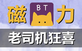 磁力猫文件管理合集