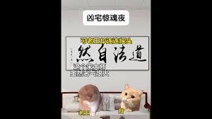夜猫小说合集