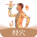 经络穴位艾灸大夫最新版