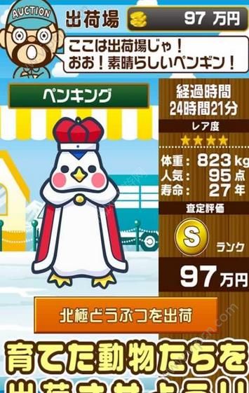 北极动物园九游最新版
