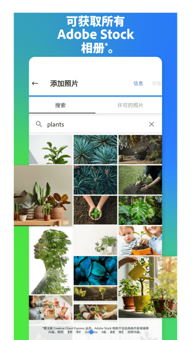 adobeexpress设计