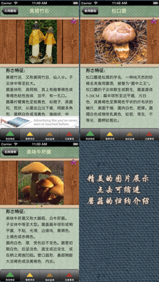 蘑菇鉴别安卓版