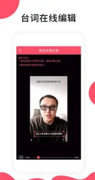 字幕提取器官网版