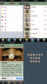 蘑菇鉴别最新版
