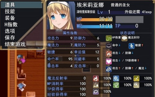 魔契的圣女