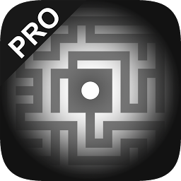 黑白迷宫(Amazer Pro Find your way)手机版