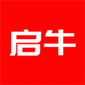 启牛学堂v1.0安卓版