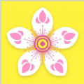 桃花网v1.0安卓版