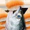 鲑鱼吃寿司v1.0.0安卓版