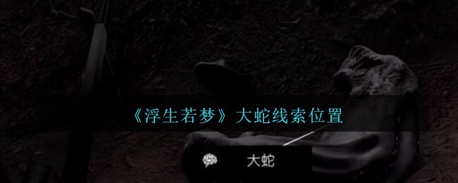 孙美琪疑案浮生若梦大蛇线索位置在哪