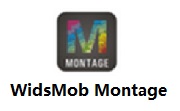 WidsMob Montage v2021中文版