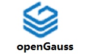openGauss v1.1.0电脑版