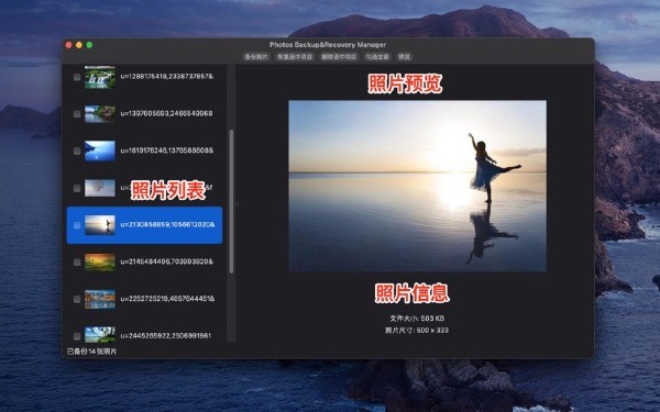 Photos Backup Recovery ManagerV3.5.8Mac版