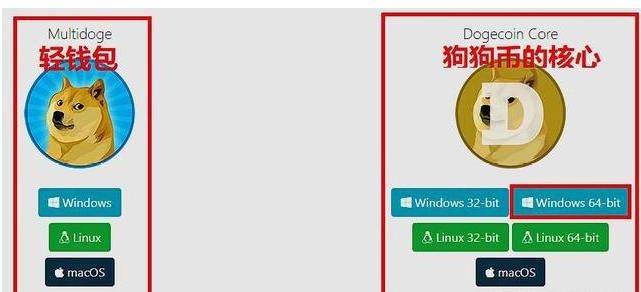 狗狗币冷钱包(狗狗币钱包使用教程)