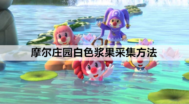 摩尔庄园白色浆果采集地点 白色浆果采集方法