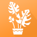 植物品鉴v1.0安卓版