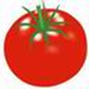 红蕃茄排课系统v1.0最新版