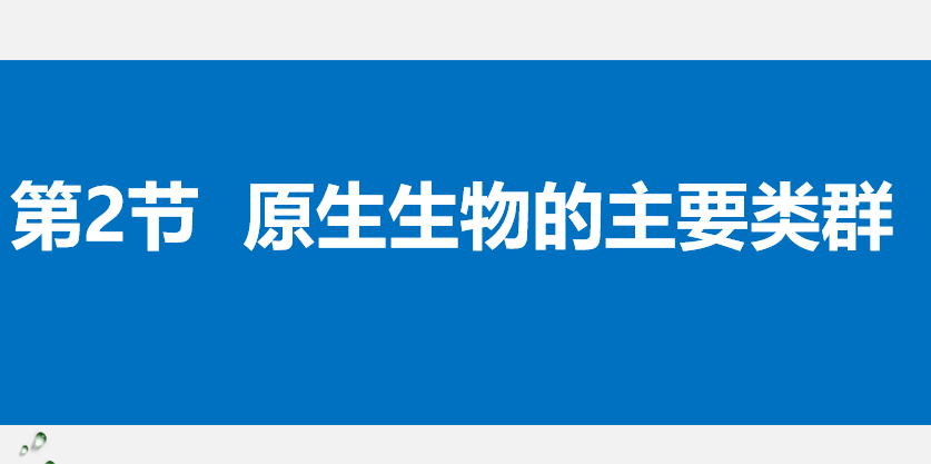 原生生物的主要类群PPT课件