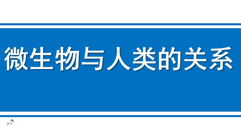 微生物与人类的关系PPT课件