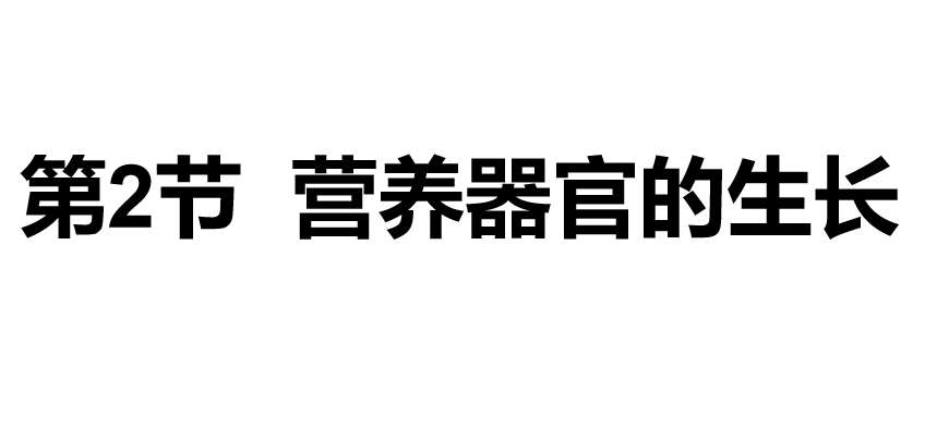 营养器官的生长PPT课件