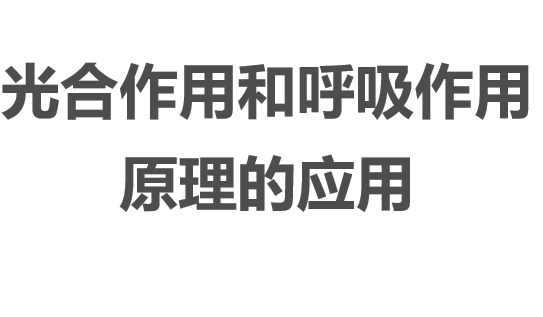 光合作用和呼吸作用原理的应用PPT课件