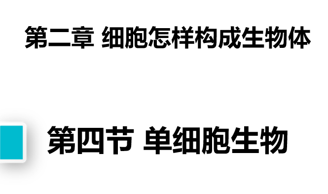 单细胞生物PPT课件