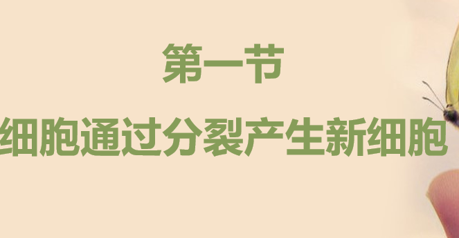 细胞通过分裂产生新细胞PPT课件
