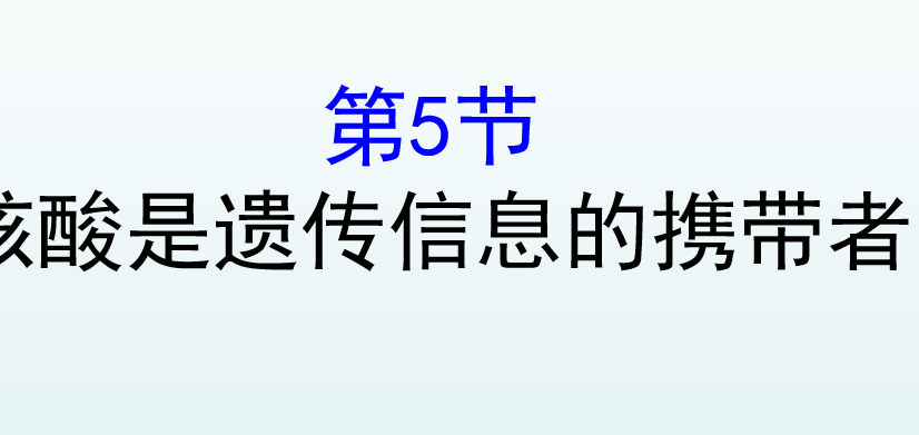 核酸是遗传信息的携带者PPT课件