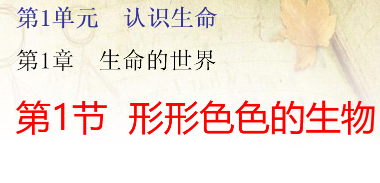 形形色色的生物PPT课件