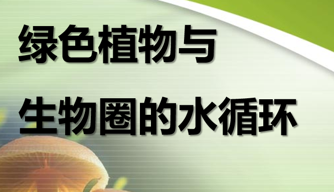 绿色植物与生物圈的水循环PPT课件