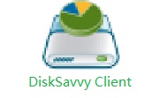 DiskSavvy Client v13.7.14电脑版