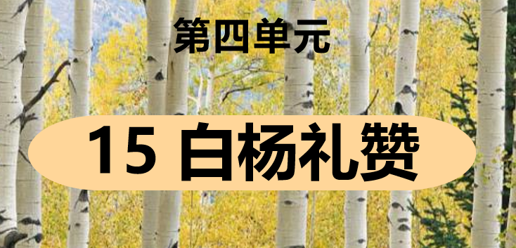 白杨礼赞PPT课件