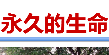 永久的生命PPT课件