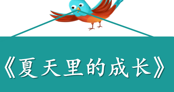 夏天里的成长PPT课件