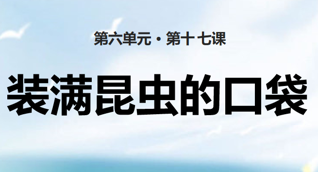 装满昆虫的口袋PPT课件
