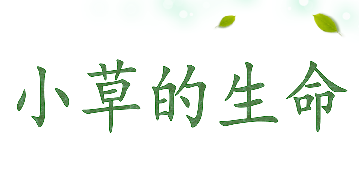 小草的生命PPT课件