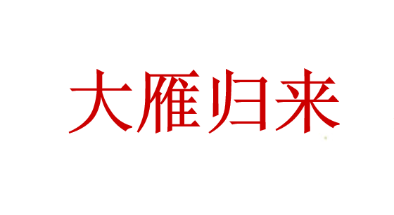 大雁归来PPT课件