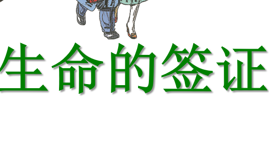 生命的签证PPT课件