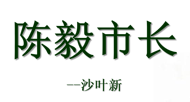 陈毅市长PPT课件