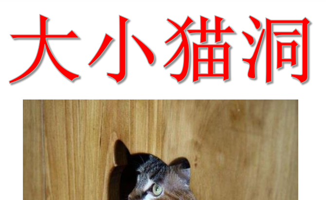 大小猫洞PPT课件