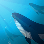 合成大鲸鱼消消乐v1.0.0.2安卓版