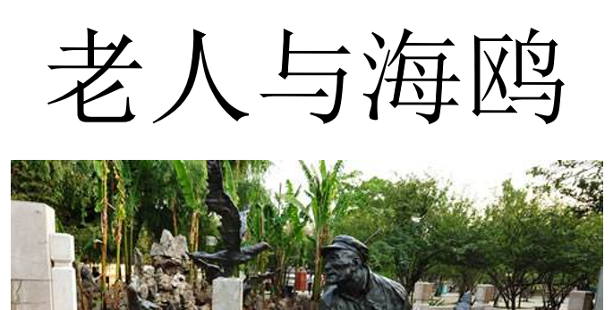 老人与海鸥PPT课件