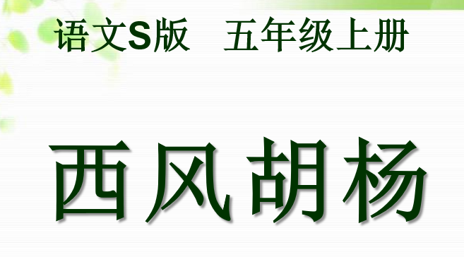 西风胡杨PPT课件