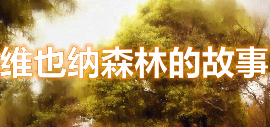 维也纳森林的故事PPT课件