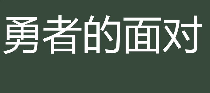 勇者的面对PPT课件