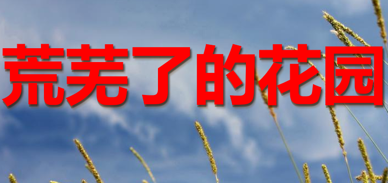 荒芜了的花园PPT课件