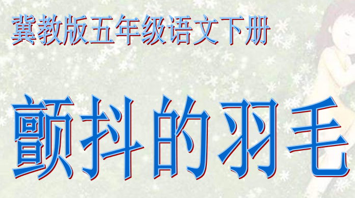颤抖的羽毛PPT课件