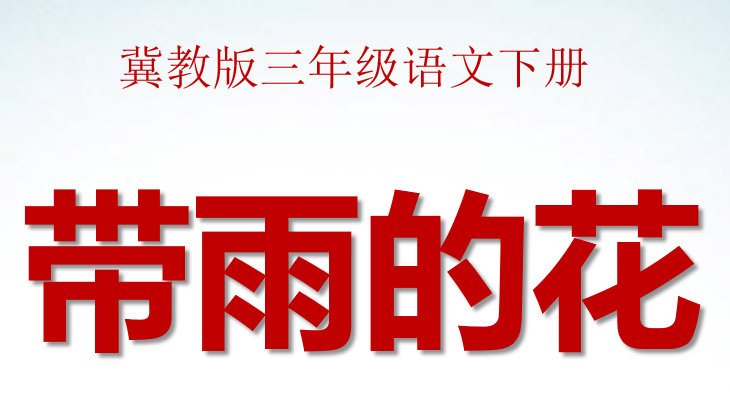 带雨的花PPT课件
