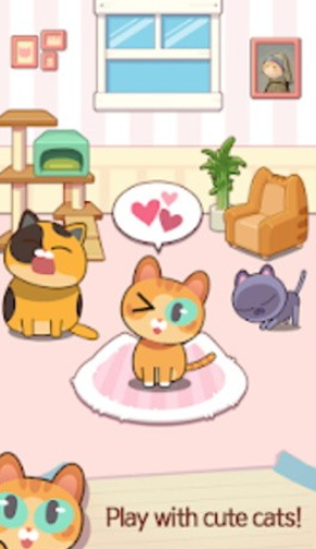猫咪弹钢琴