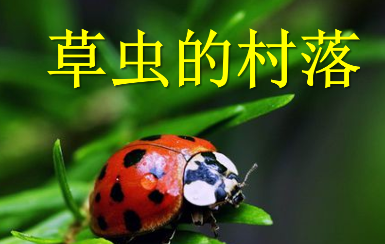 草虫的村落PPT课件